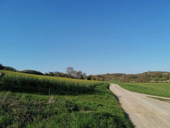 Scenic view of field against clear blue sky