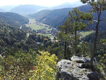 Scenic view of trees and mountains against sky