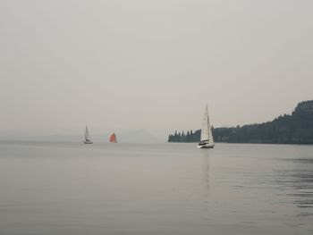 Sailboat sailing on sea against clear sky