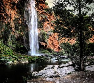 View of waterfall in forest