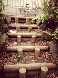 Potted plants in yard