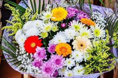 Close-up of multi colored flowering plants