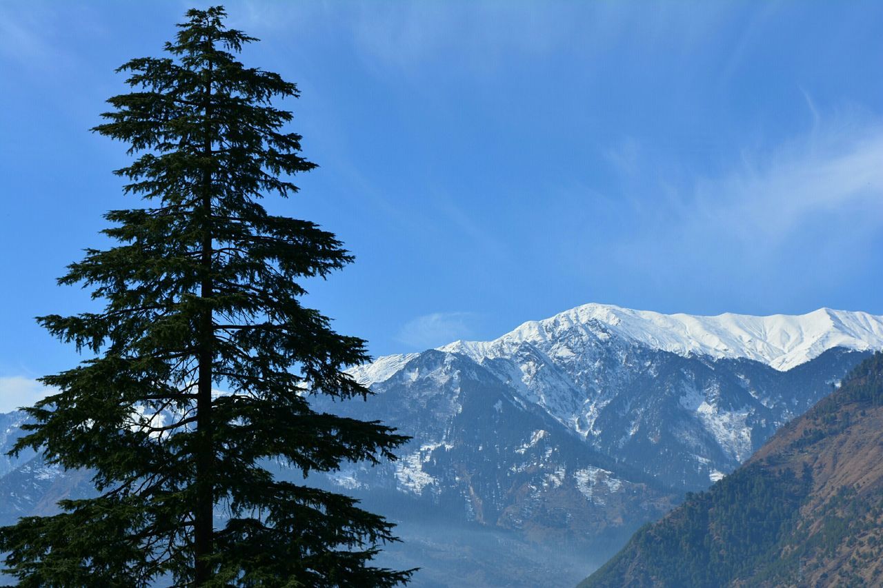 Naggar Castle