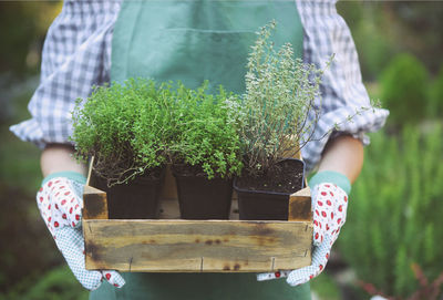 Midsection of florist holding plant standing outdoors