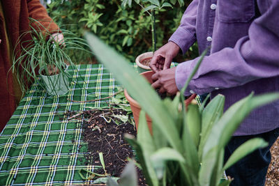 Midsection of woman holding plants