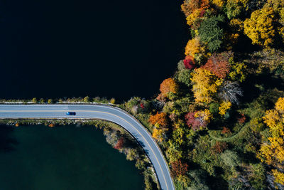 Road by trees against sky during autumn