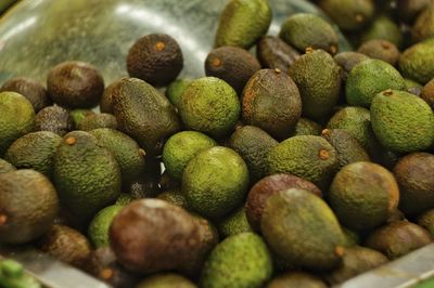 Close-up of fruits