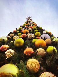 Low angle view of fruits on tree against sky