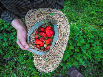 Midsection of person holding berries in basket