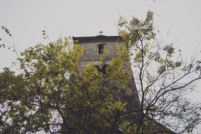 Low angle view of tree against built structure