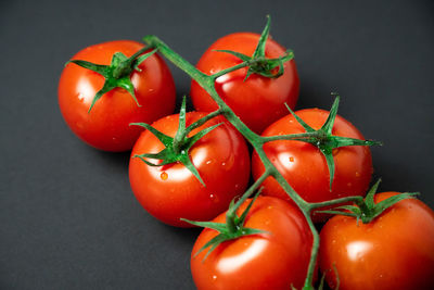 High angle view of tomatoes against black background