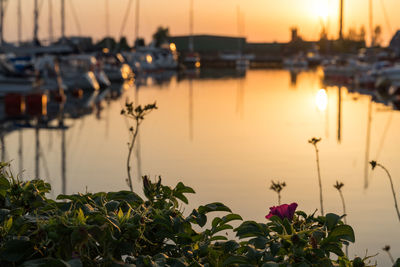 Boats in harbor