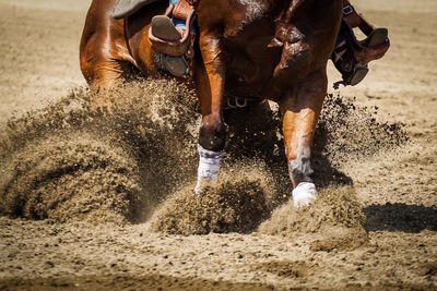 Low section of person riding horse