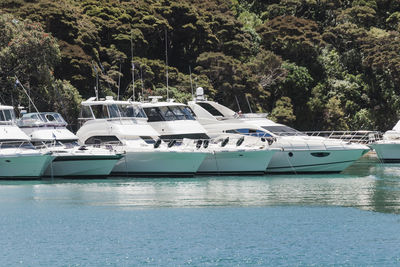 Boats moored in sea against trees