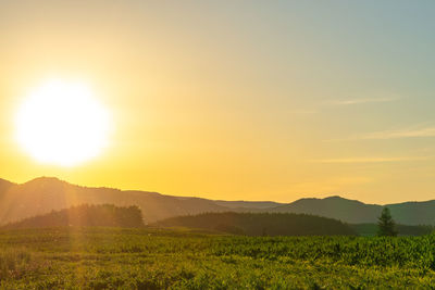 Scenic view of field against sky during sunset