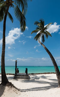 Palm trees on beach against sky