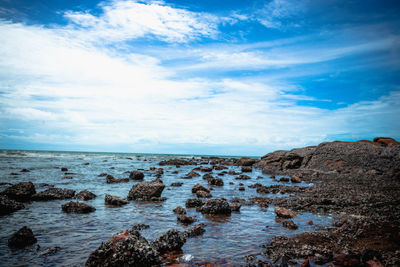 Scenic view of sea against sky