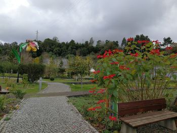 View of flowering plants against cloudy sky
