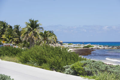 Scenic view of sea against clear sky