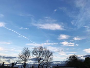 Low angle view of trees against sky