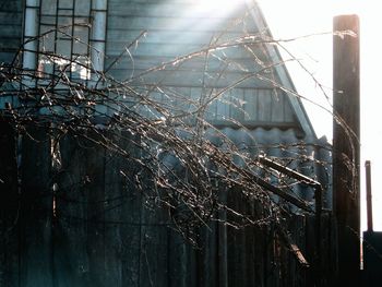 Low angle view of branches against sky