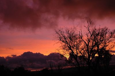 Silhouette trees against dramatic sky during sunset