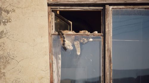 Close-up of rusty window