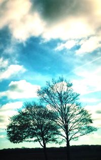 Low angle view of silhouette bare tree against sky