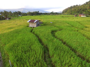 Scenic view of farm against sky
