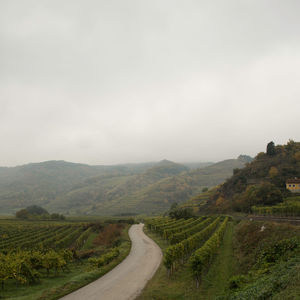 Road amidst landscape against sky