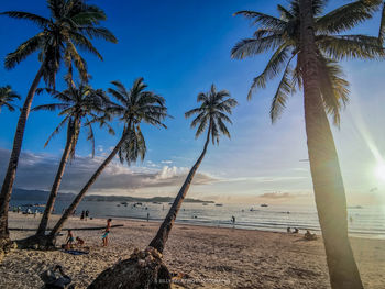 Palm trees on beach against sky