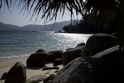 People on beach by sea against sky