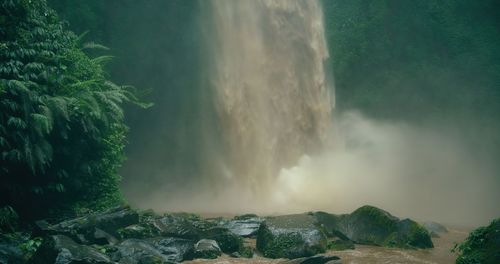 Scenic view of waterfall in forest