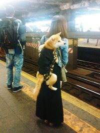 Full length of woman standing by railing