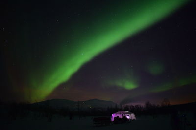 Low angle view of silhouette trees and tent against sky at night with northern lights