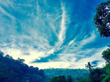 Low angle view of trees against sky