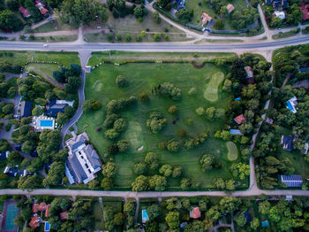 High angle view of trees by lake