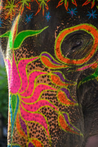 Full frame shot of multi colored painting