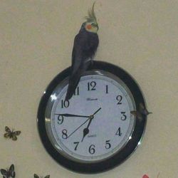 Clock on the wall