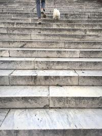 High angle view of bird on steps