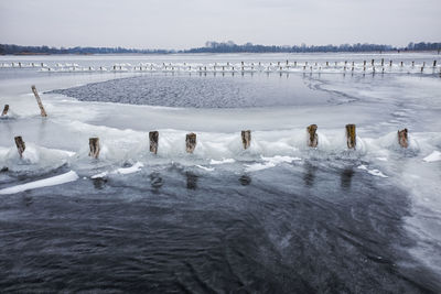 Swans swimming in frozen lake against sky