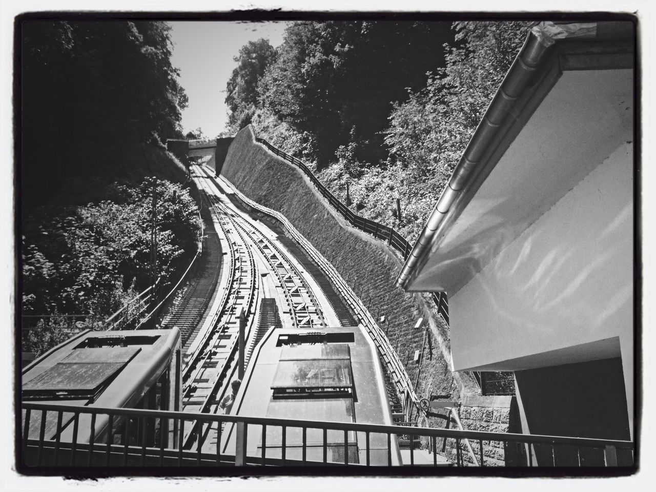 transfer print, architecture, built structure, auto post production filter, low angle view, building exterior, tree, sky, day, railing, outdoors, no people, city, building, sunlight, metal, tilt, steps, growth, transportation