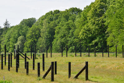 Trees on field against sky