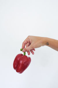 Close-up of hand holding apple against white background