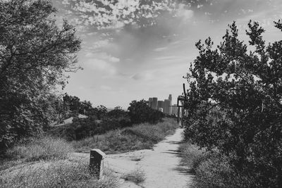 Footpath amidst trees and buildings against sky