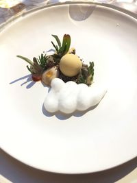 High angle view of dessert in plate