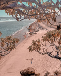 View of driftwood on beach