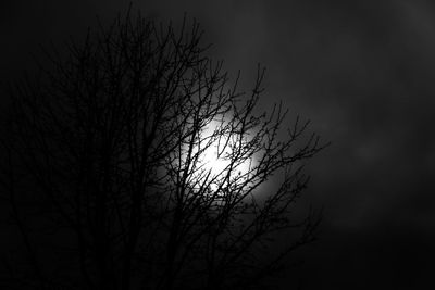 Low angle view of silhouette bare tree against sky at night