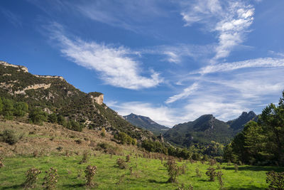 Scenic view of landscape against sky