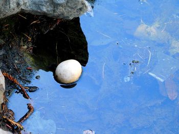 High angle view of ball floating on water